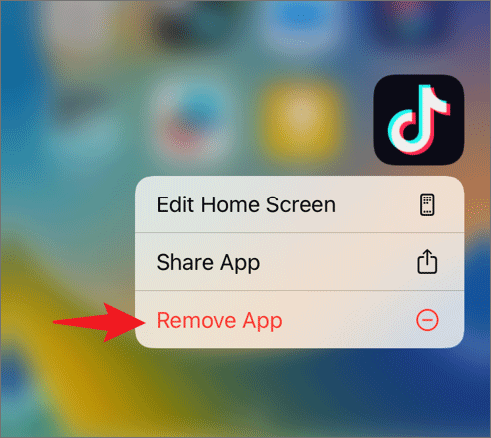 remove tiktok app