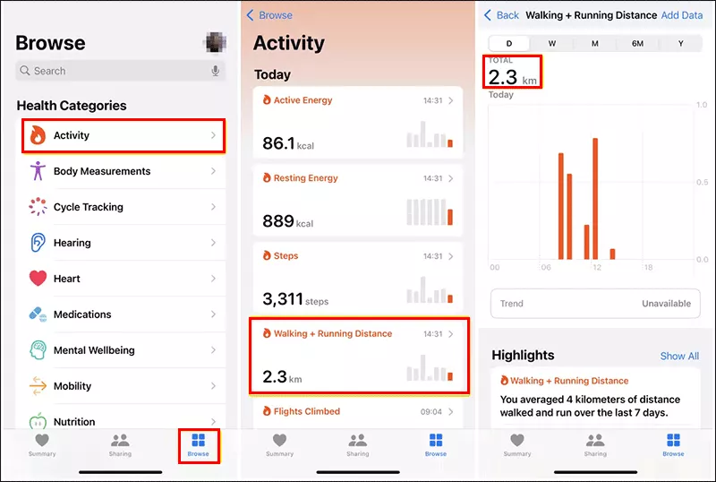 adventure sync fake steps
