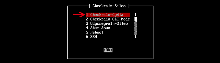 choose Checkra1n-Cydia