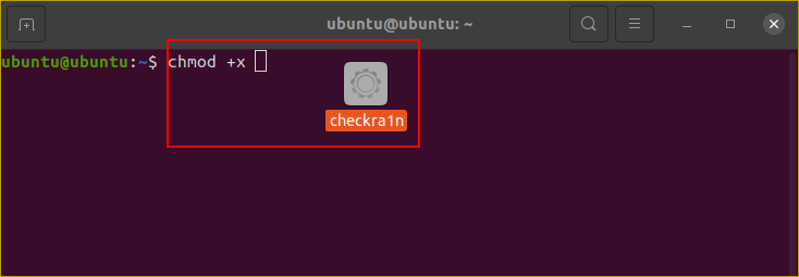 drag checkra1n to terminal window