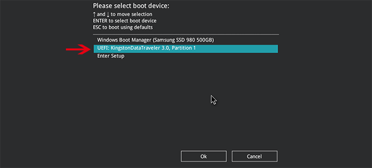 set to boot from USB