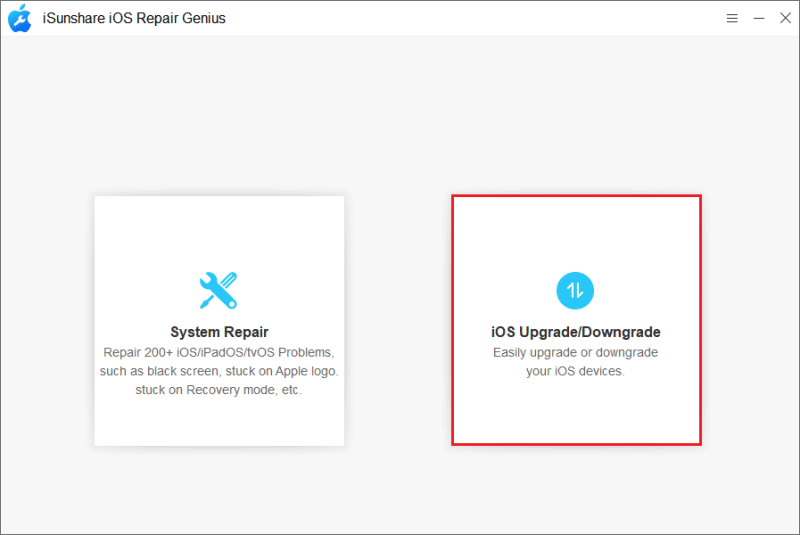 choose the ios upgrade downgrade option