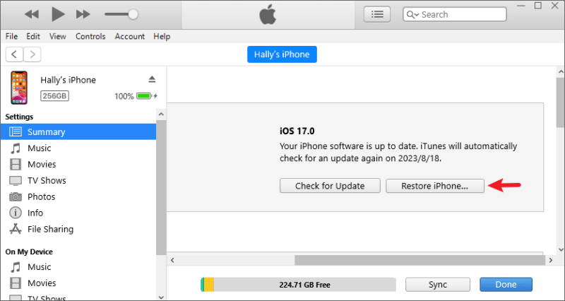 restore iphone in ios 17