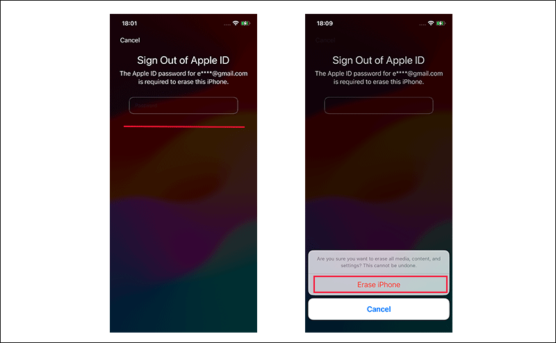 enter Apple ID passcode to erase iPhone