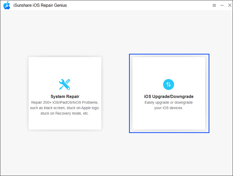 choose iOS Upgrade/Downgrade