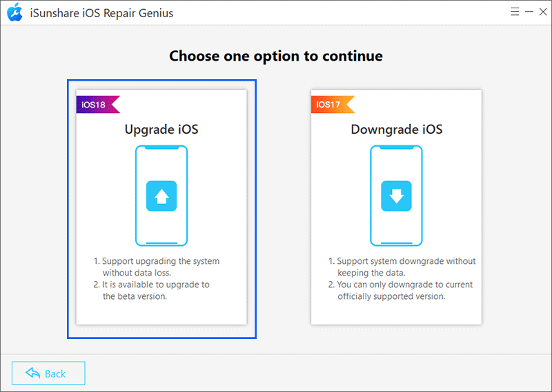 choose Upgrade iOS