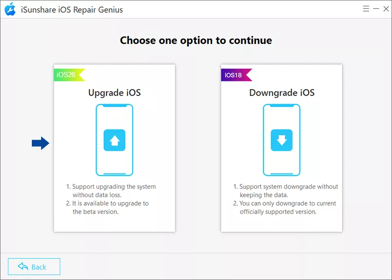 choose Upgrade iOS