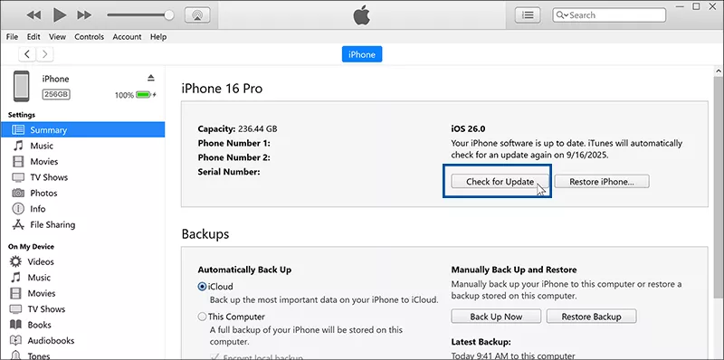 click Check for Update