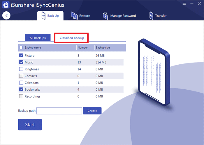 classified backup interface