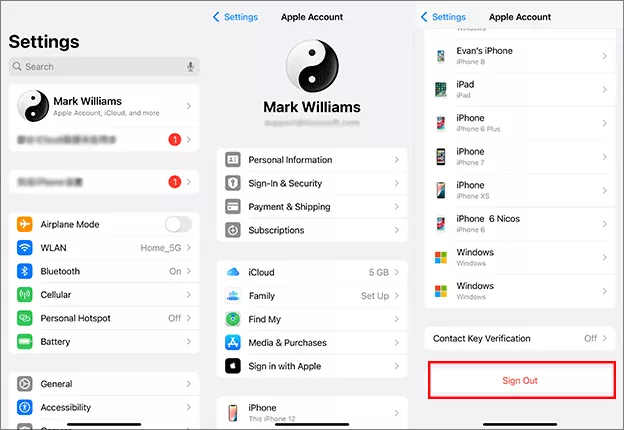 sign out your iCloud account