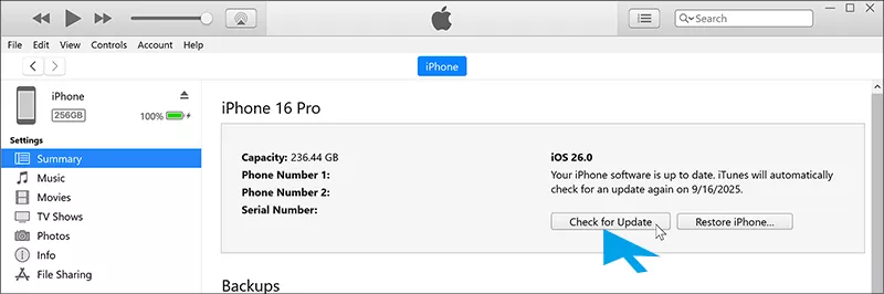 update iPhone via iTunes