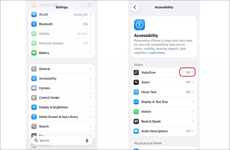 disable voice over