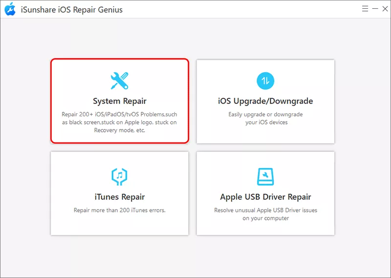 select System Repair