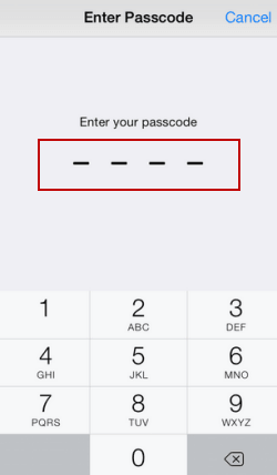 type passcode