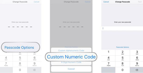 change password to the custom numeric passcode 