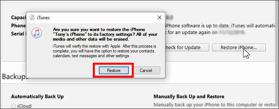  restore iPhone confirmation