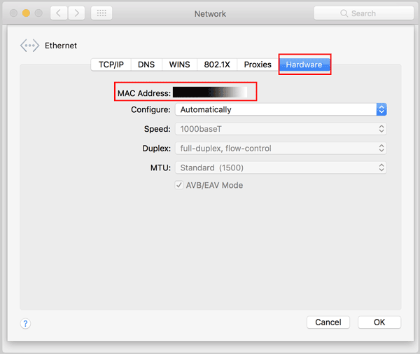 get mac address from network