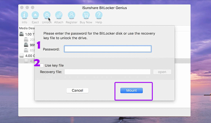  use password or recovery file to open BitLocker drive