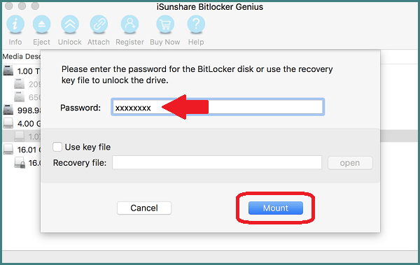 mount BitLocker drive by password