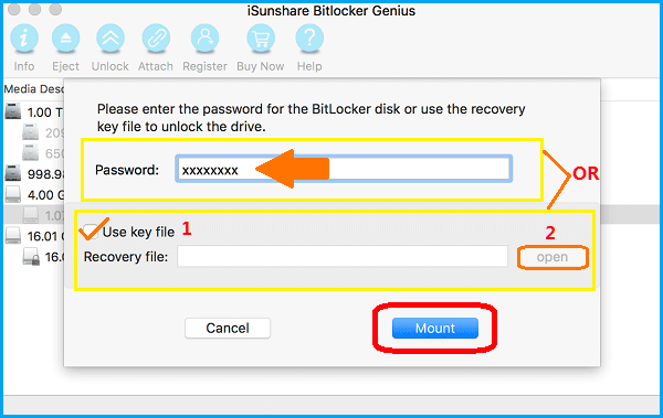select password or key file to mount BitLocker drive