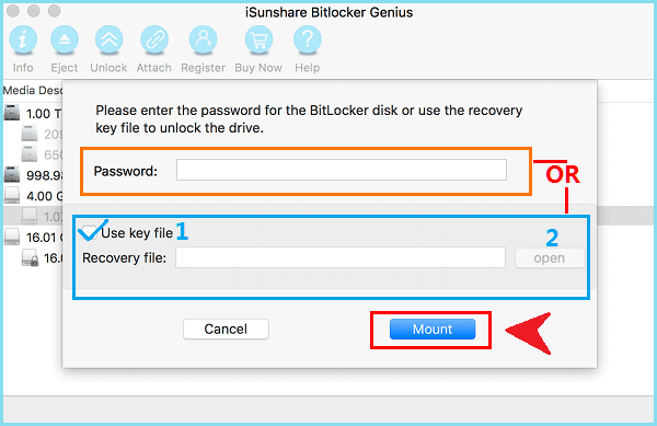 enter password or choose recovery file