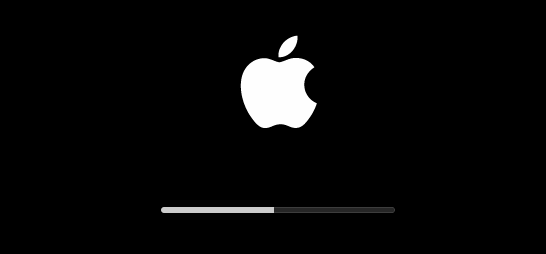 release shift key when apple logo appears