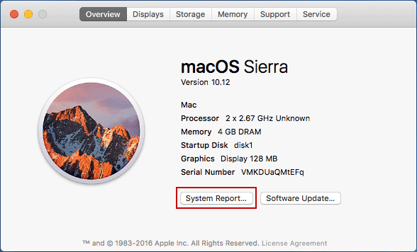 check system report on mac