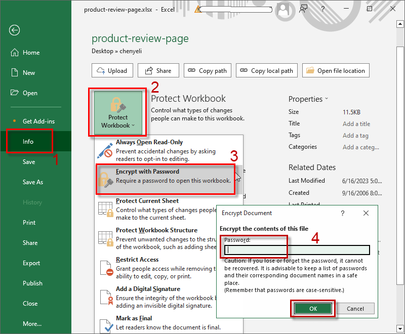 excel password