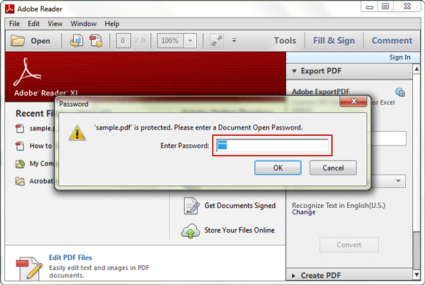 open password protected pdf document