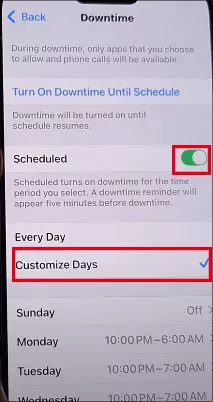 customize downtime period