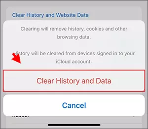 confirm clear history