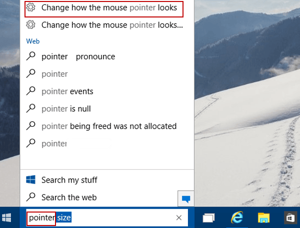 tap Change how the mouse pointer looks
