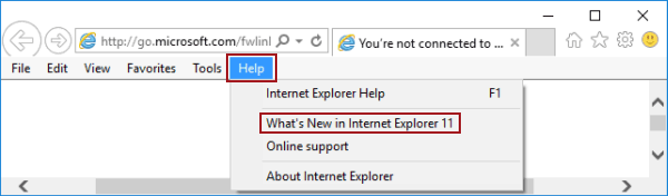 How To Check What Version Of Internet Explorer You Have: 4 Steps