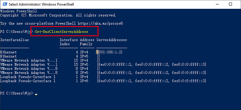 check DNS address via Powershell