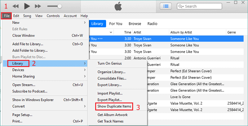 show duplicate items