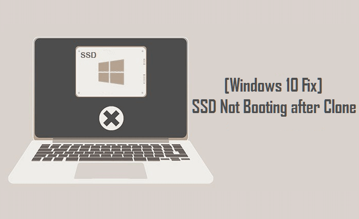 Ikke kompliceret Flyve drage Il SSD Not Booting after Clone | How to Make Cloned SSD Bootable