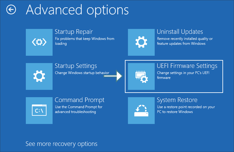 choose UEFI firmware settings