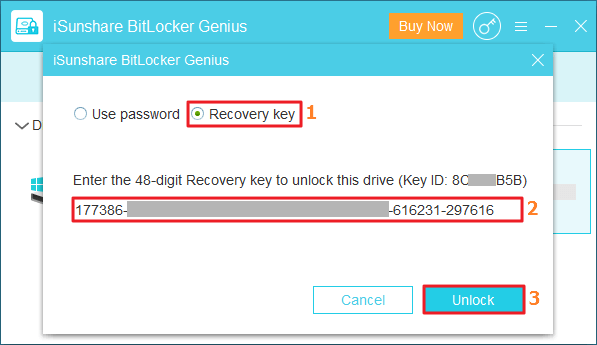 unlock bitlocker drive with recovery key