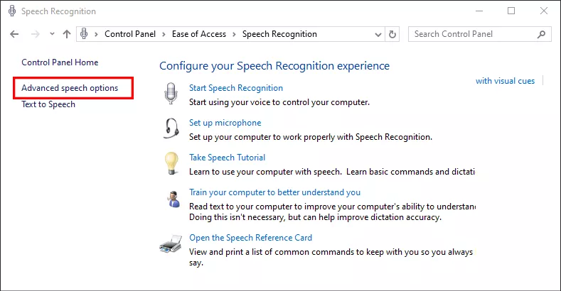 click Advanced Speech Options