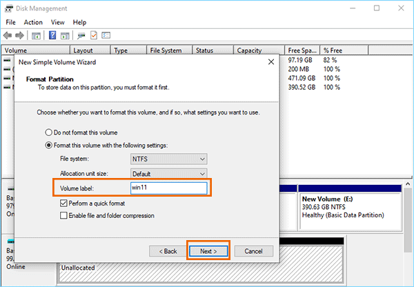 enter Win11 as volume label