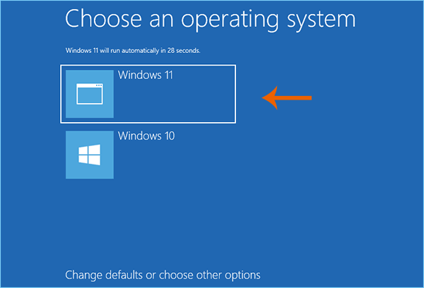 select Windows 11 boot option to install Windows 11