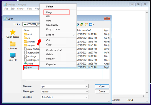 choose merge option for tpm reg file