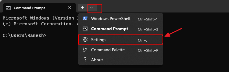 access Terminal settings