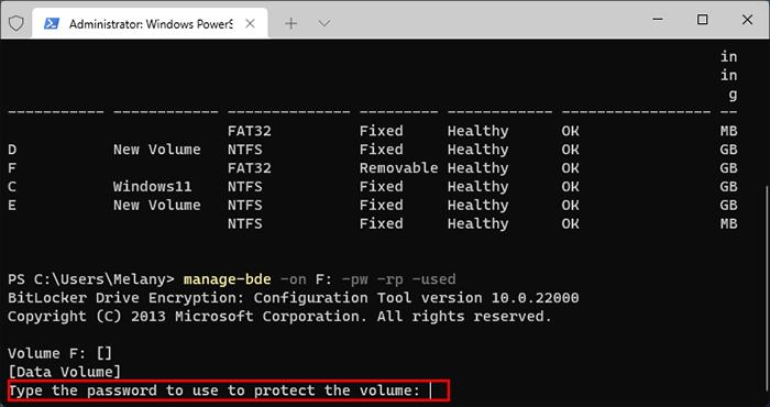 type the password in Windows PowerShell