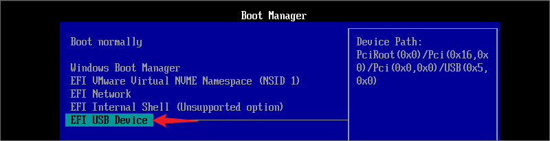 boot windows 11 from the usb device