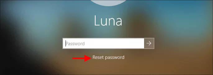 click Reset Password