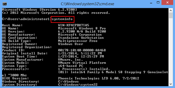 input systeminfo and press enter