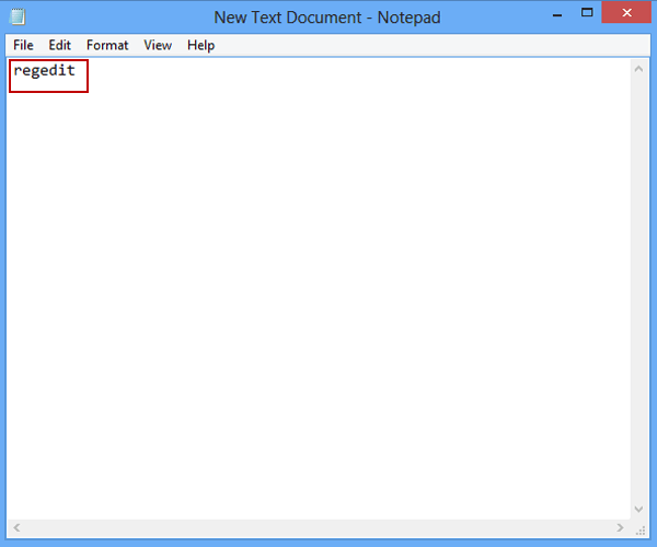 input regedit in text document