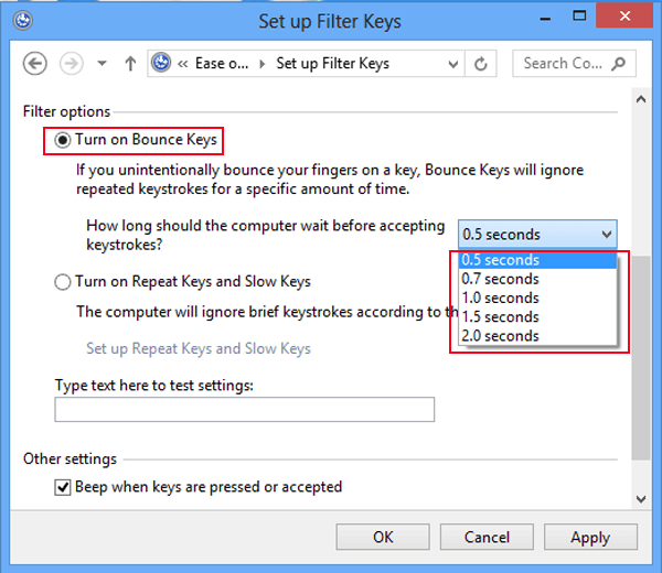 choose turn on bounce keys and set time