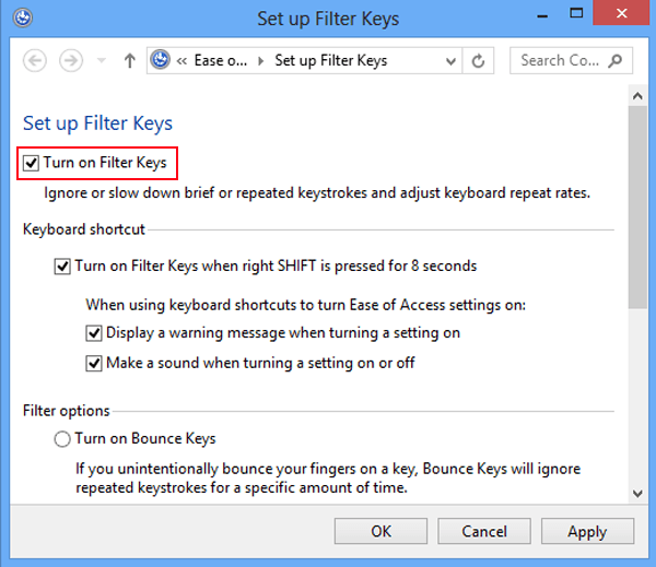 choose turn on filter keys